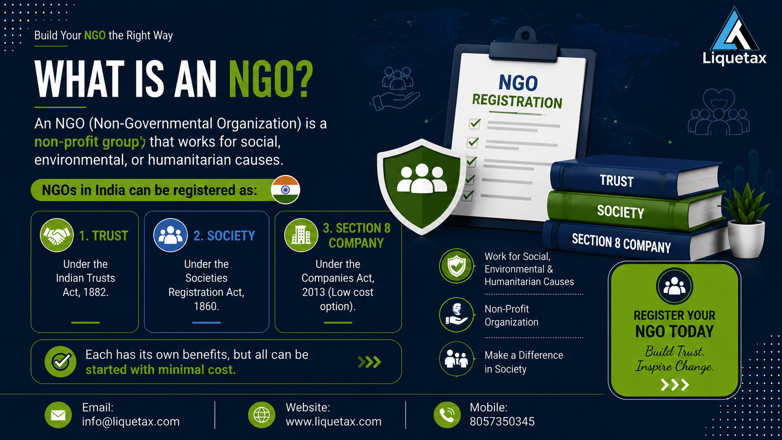 What is an NGO infographic